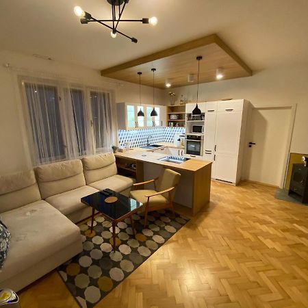 Vila Sik 2 Нове-Место-на-Мораве Экстерьер фото